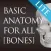 basic anatomy for all [bones] lite