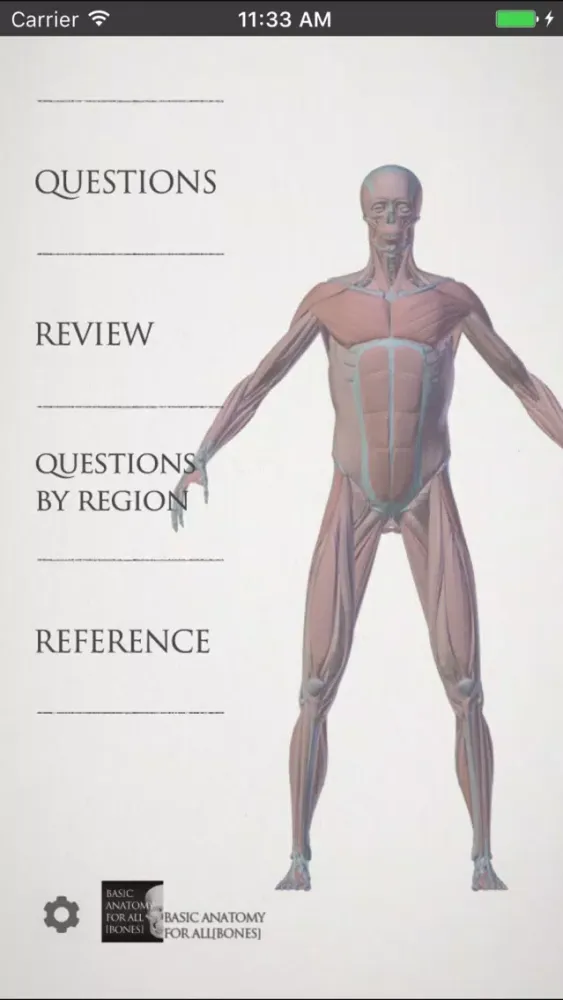 basic anatomy for all [muscles] سکرین شاٹس