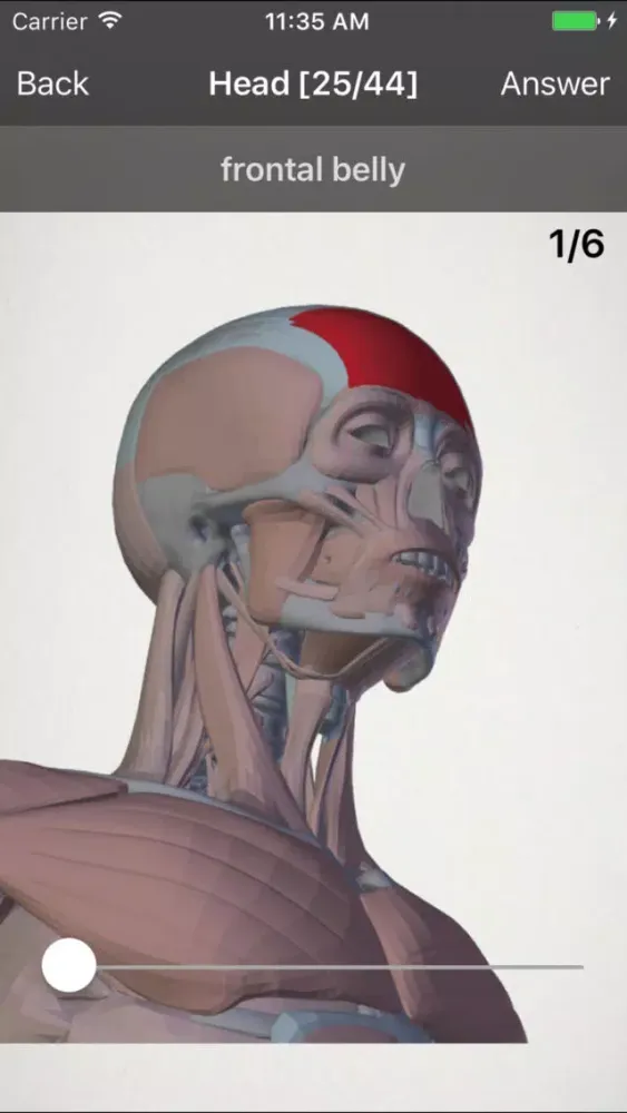 basic anatomy for all [muscles] سکرین شاٹس