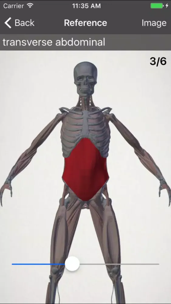 basic anatomy for all [muscles] سکرین شاٹس