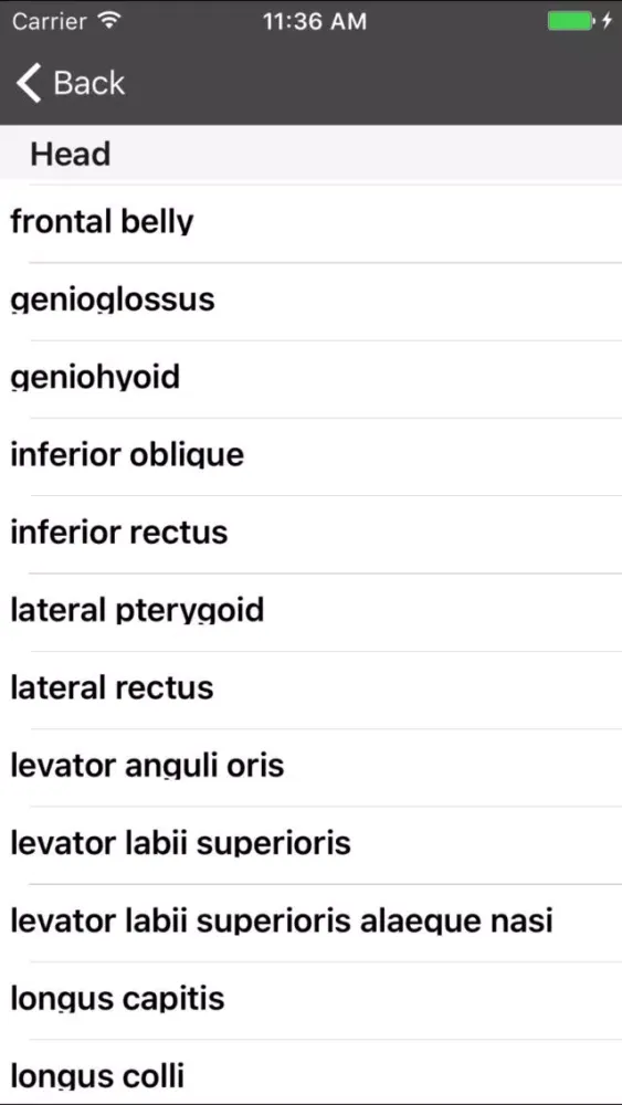 basic anatomy for all [muscles] سکرین شاٹس