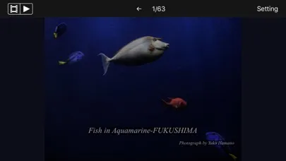 Fish in Aquamarine-FUKUSHIMA سکرین شاٹس