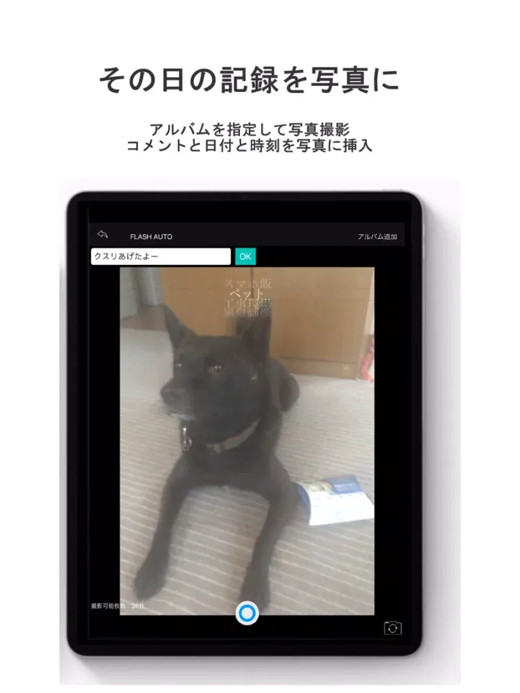 Capturas de tela do 日記カメラ iPad 