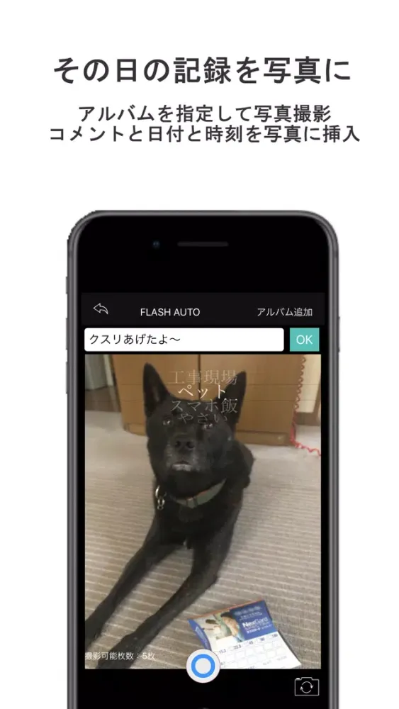Capturas de tela do 日記カメラ