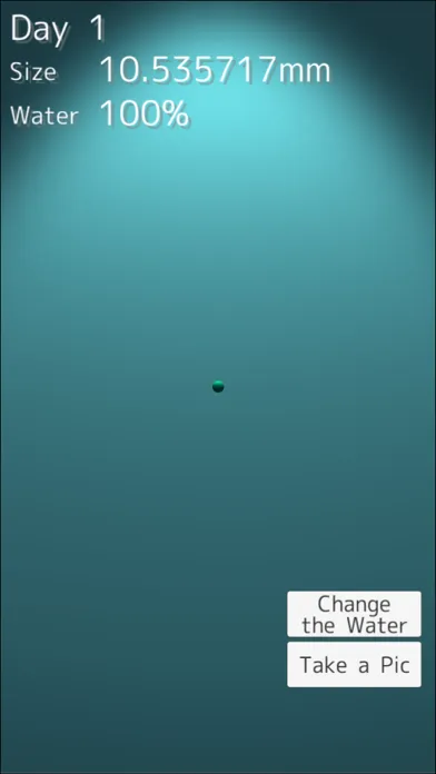Tangkapan skrin Marimo - Moss Ball Aquarium