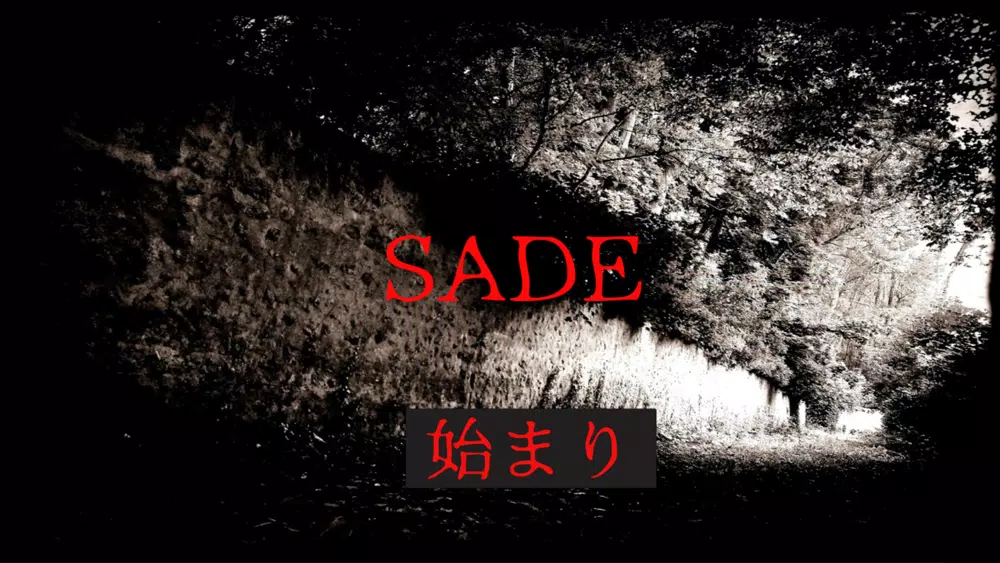 Capturas de tela do SADE