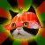 Face in Sushi
