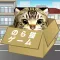 のら猫サバイバル