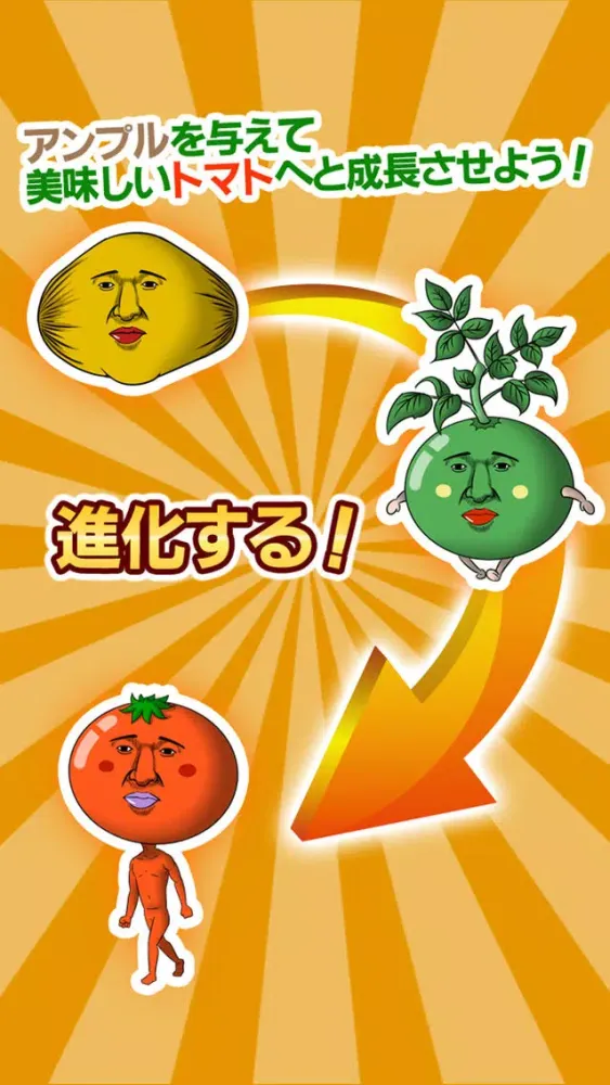 Captures d'écran de 美味しいトマトになりたくて　～無料育成ゲーム～