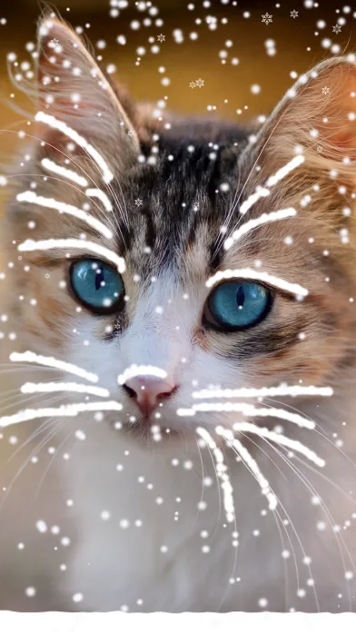PhotoSnowdome Screenshots