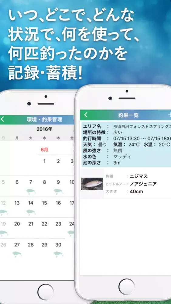 Capturas de pantalla de LOGICAL FISHING