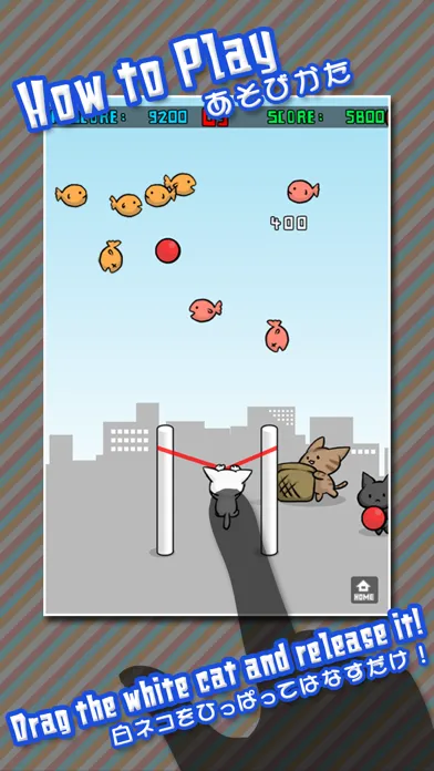 Cat Shot Screenshots