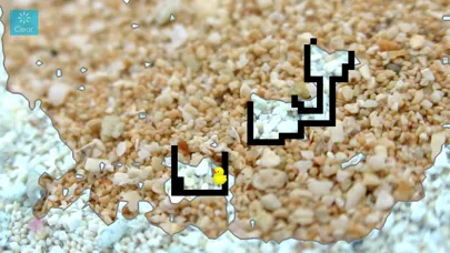 Zrzuty ekranu Liquid Apptoy