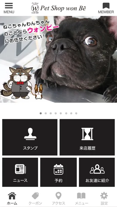 愛西市のペットショップ ウォンビー Ekran Görüntüleri