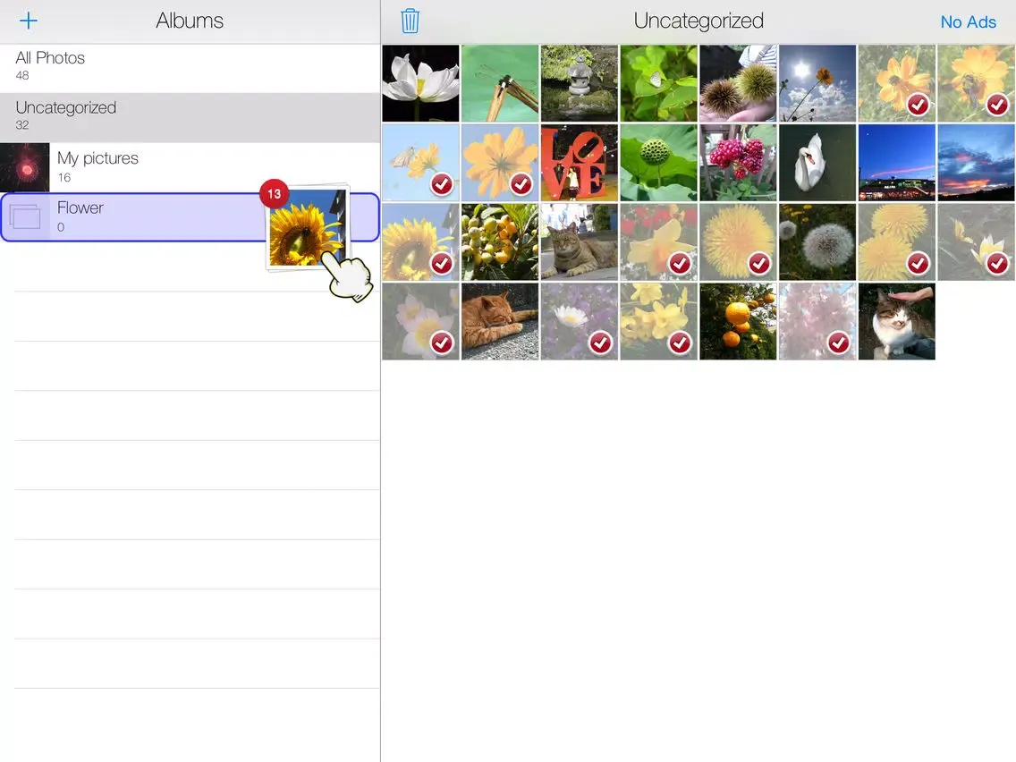 Capturas de pantalla de Easy Album 8 iPad 