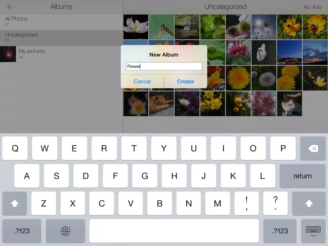 Capturas de pantalla de Easy Album 8 iPad 