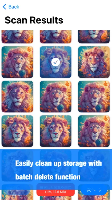 Storage Cleaner: AI Organizer স্ক্রিনশট