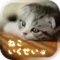 癒しのねこ育成ゲーム3D