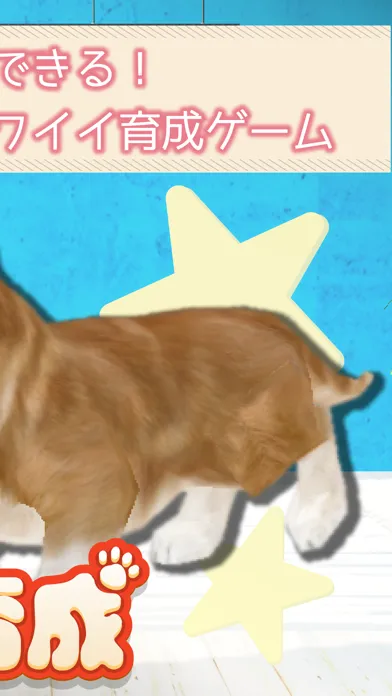 Dog Simulation Game應用截圖