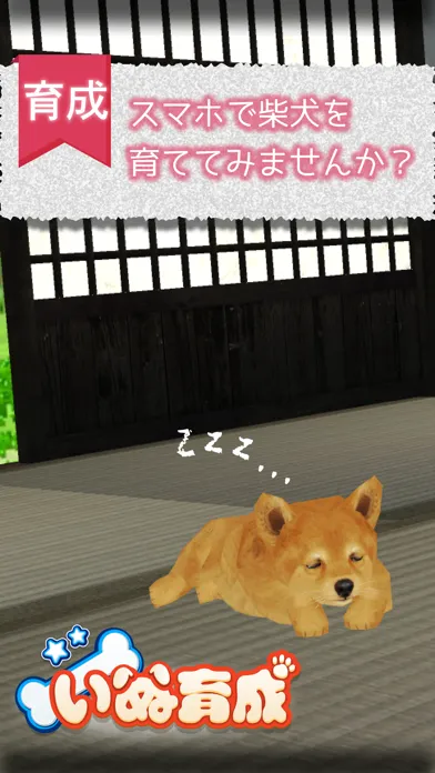 Shibainu Dog Simulator 3D Screenshots