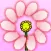 Petal Divination