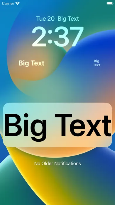 Large Text Widget - Big Text Screenshots
