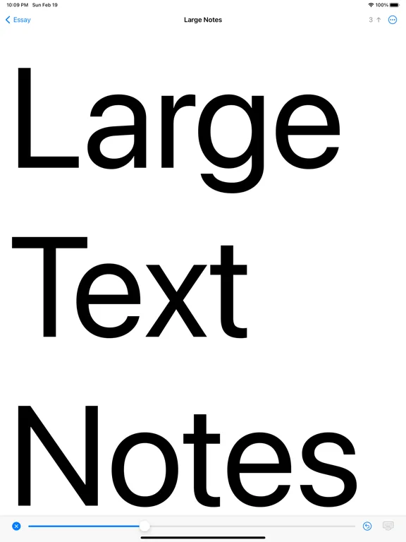 Large Text Notes, Big Text iPad  Screenshots
