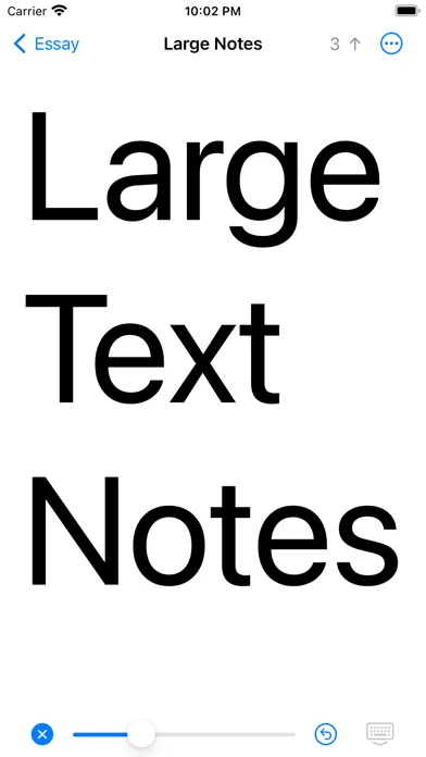 Large Text Notes, Big Text Screenshots