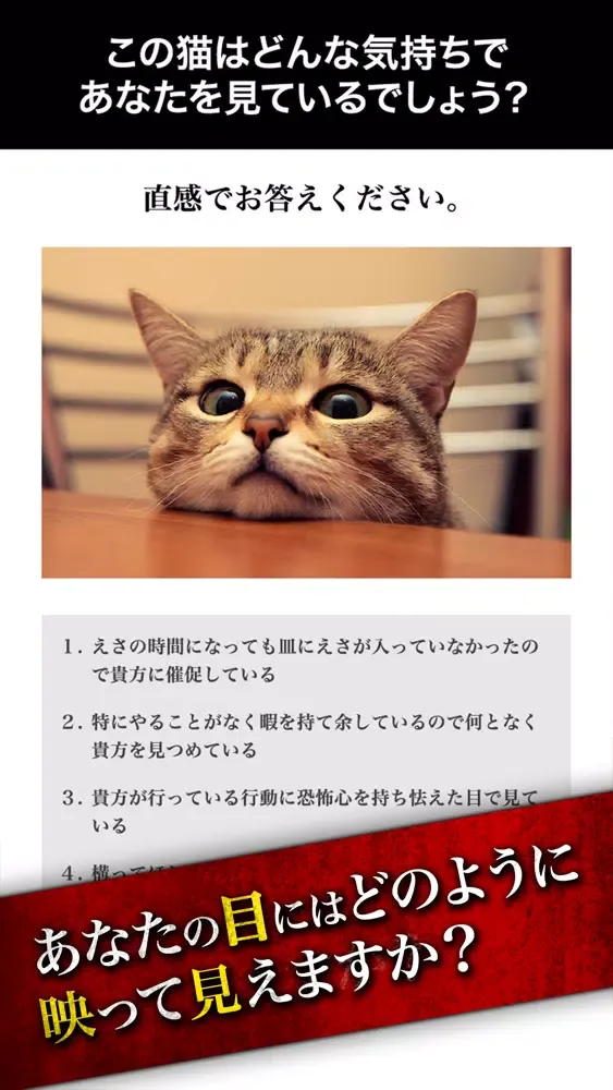 صور 【取扱注意】怖い画像心理テスト