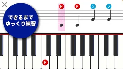 Do-Re-Mi Lesson应用截图