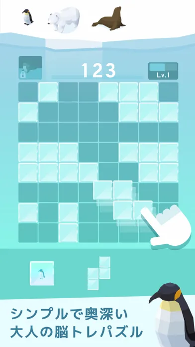 صور 氷のパズル