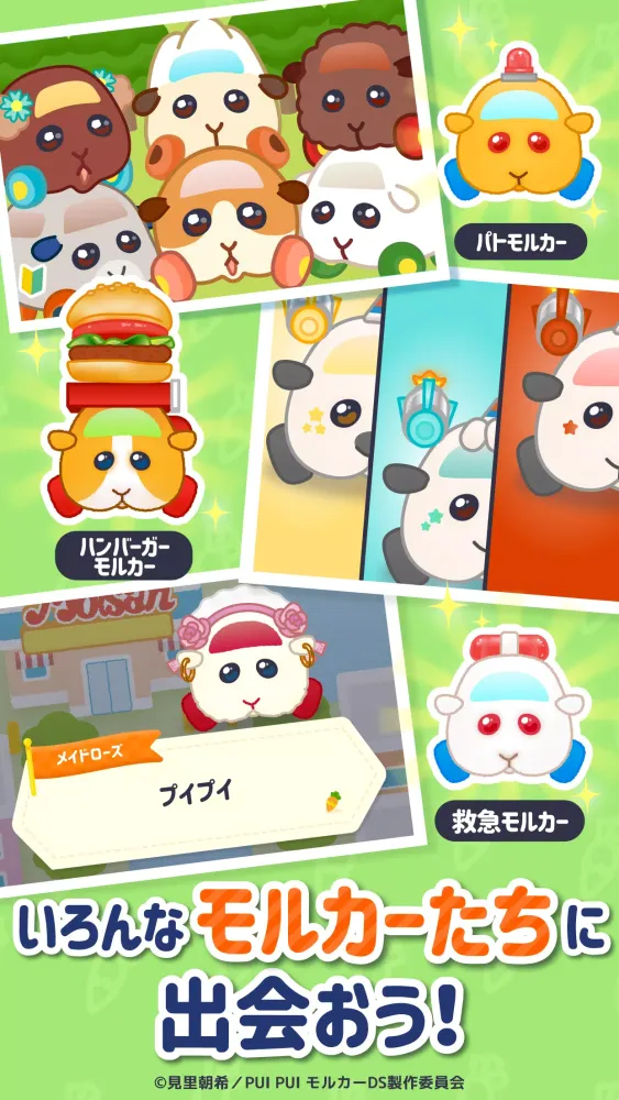 PUI PUI モルカー モルグランプリ~ぷいっとRPG~ Screenshots