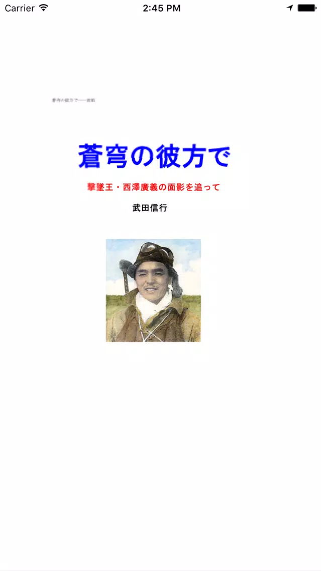 蒼穹の彼方で 스크린샷