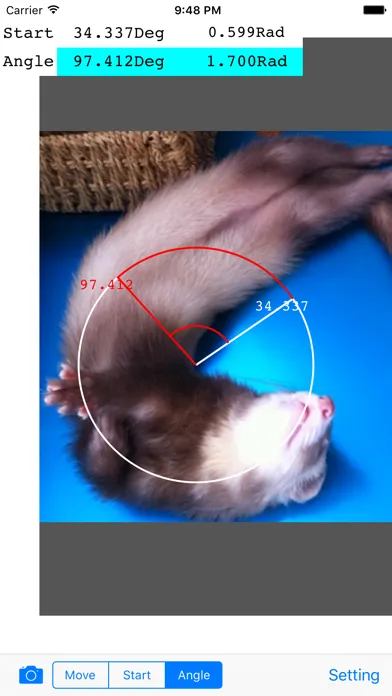 Photo Protractor スクリーンショット