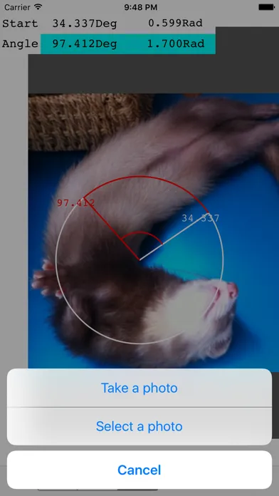 Photo Protractor スクリーンショット