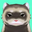フェレットといっしょ