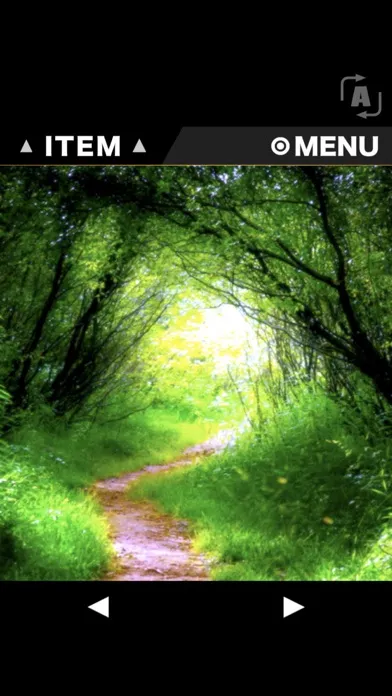 Escape game RESORT3 - Forest سکرین شاٹس