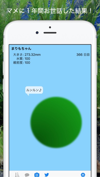 marimo سکرین شاٹس