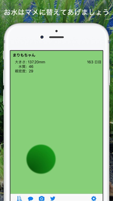 marimo سکرین شاٹس