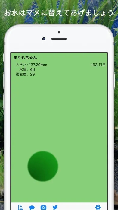 marimo スクリーンショット