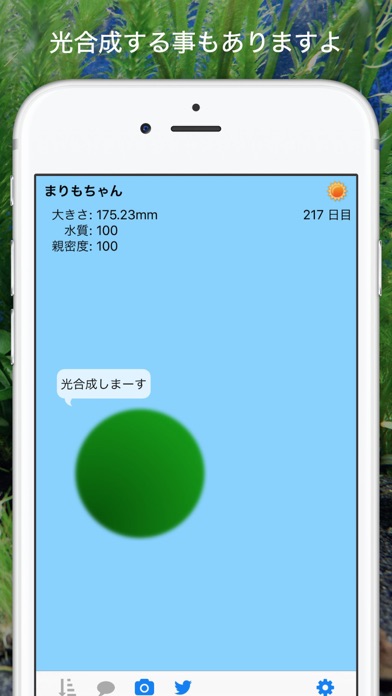 marimo سکرین شاٹس