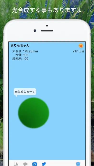 marimo スクリーンショット