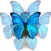 N'Back Butterfly