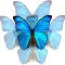 Chain Reaction Butterfly