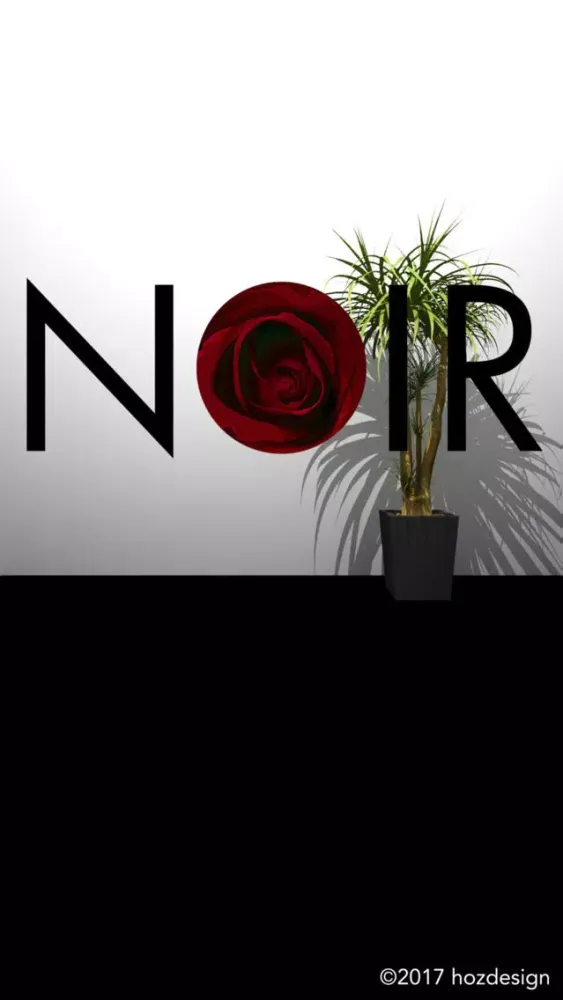 Ảnh chụp màn hình của Escape Game "NOIR"