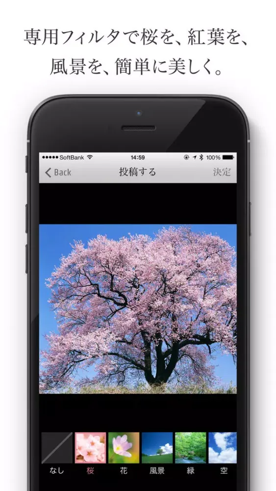 Ảnh chụp màn hình của Sai-Jiki -彩時記- 季節を楽しむ大人のための写真SNS