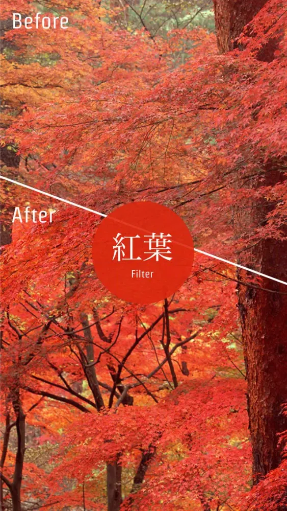 Ảnh chụp màn hình của Sai-Jiki -彩時記- 季節を楽しむ大人のための写真SNS