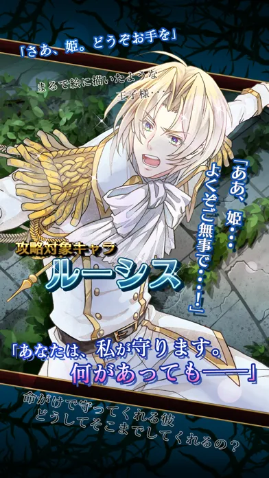 Capturas de tela do 乙女脱出ゲーム　光と影のレグルス～迷宮の王子たち～