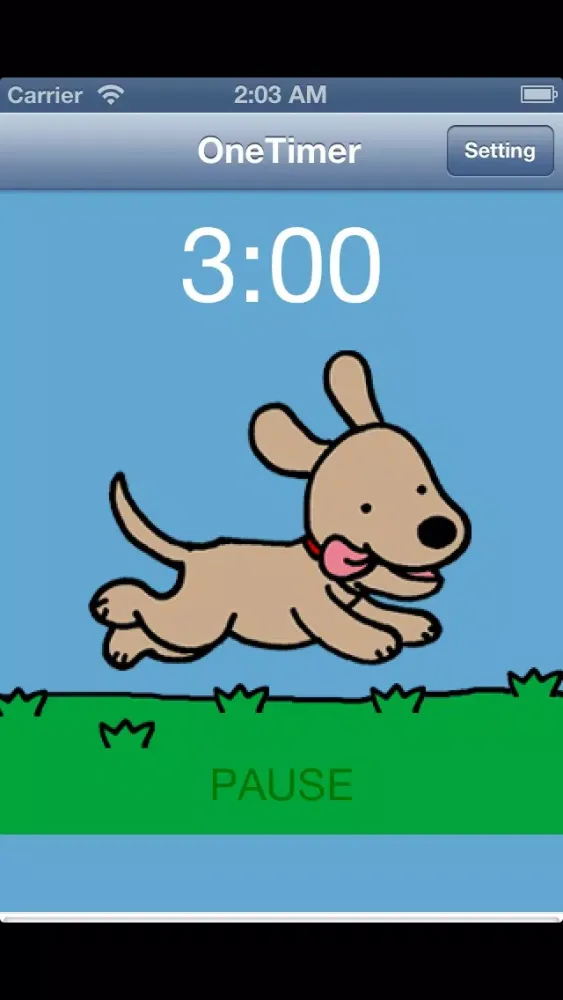 1-timer Screenshots