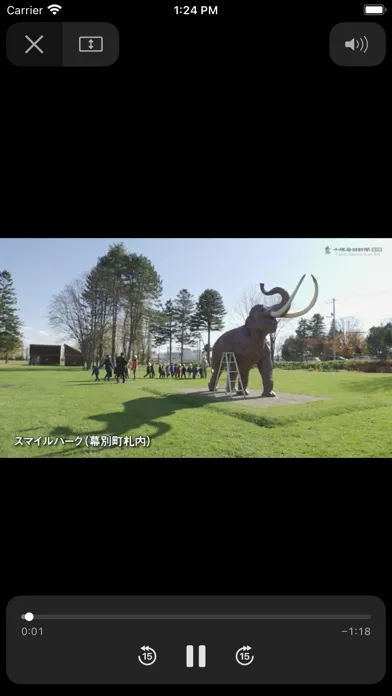 Скриншоты Tokachi Mainichi News Web